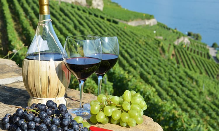 PELJESAC WINE TOUR - DREAM Travel d.o.o.